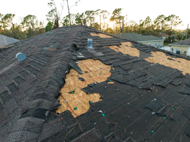 Best Gutter Installation and Repair  in Verona, MS