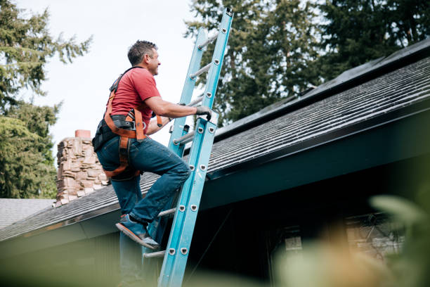 Best Asphalt Shingle Roofing  in Verona, MS